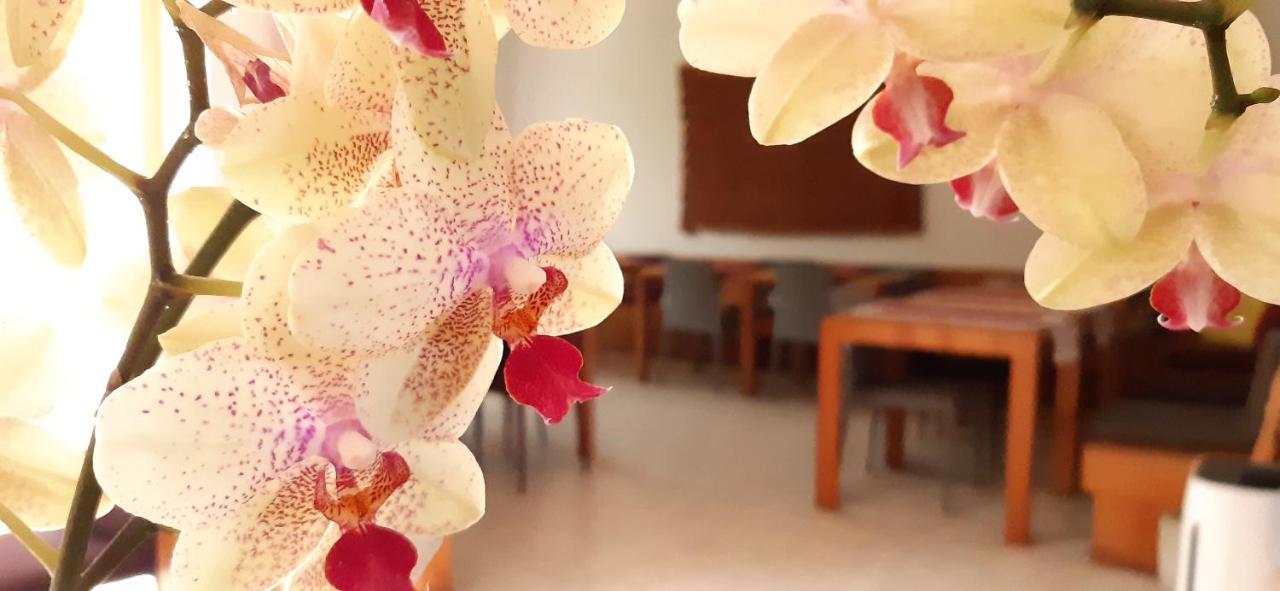 Hotel Gracanica Luaran gambar